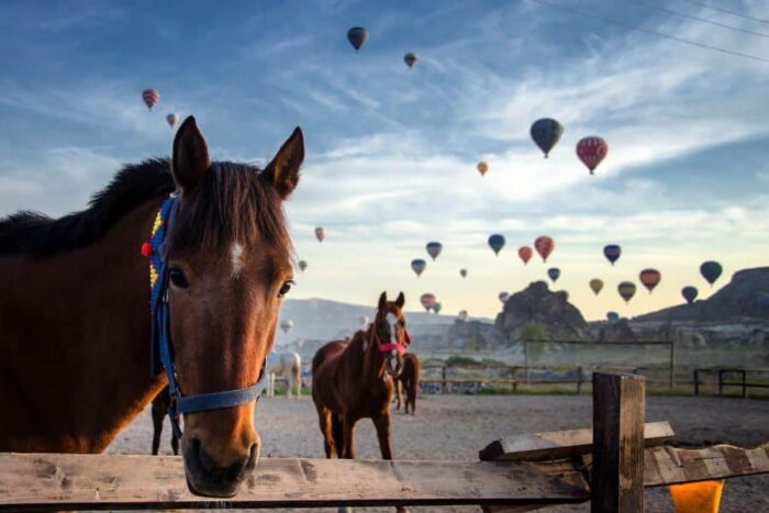 2-Day Cappadocia Tour From Istanbul: Explore Fairy Chimneys